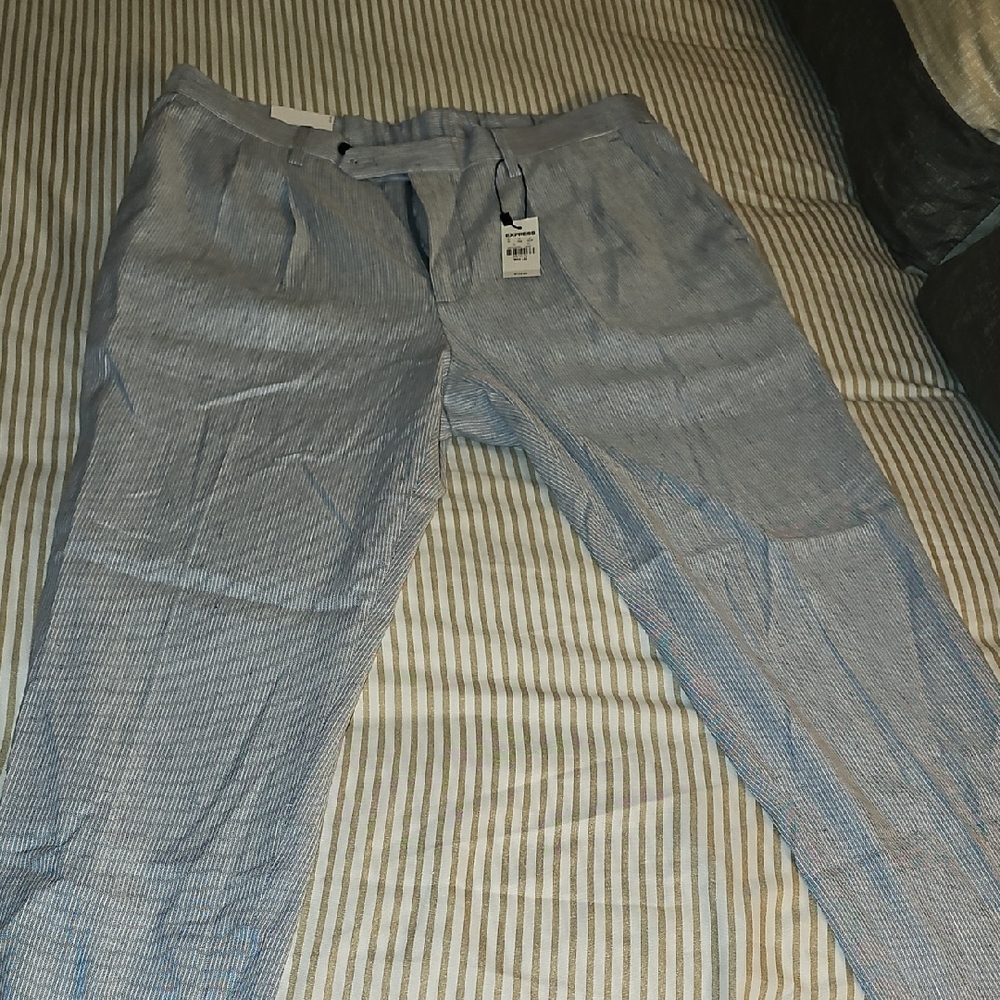 Express Blue and White Striped Trousers